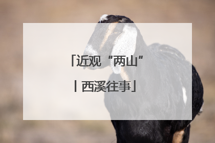 近观“两山”丨西溪往事