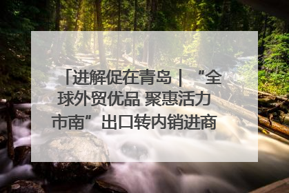 进解促在青岛｜“全球外贸优品 聚惠活力市南”出口转内销进商超专场活动启动