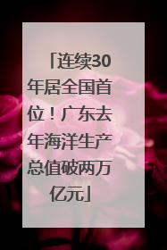 连续30年居全国首位！广东去年海洋生产总值破两万亿元