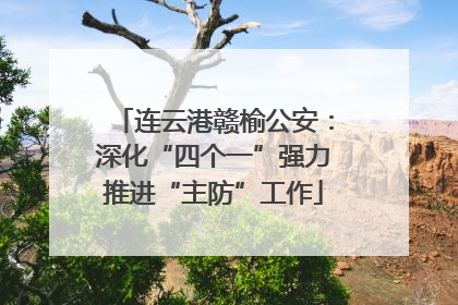 连云港赣榆公安：深化“四个一”强力推进“主防”工作