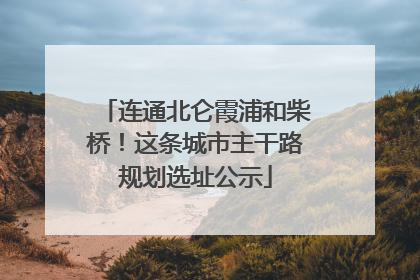 连通北仑霞浦和柴桥！这条城市主干路规划选址公示