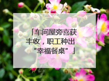 车间屋旁喜获丰收，职工种出“幸福餐桌”