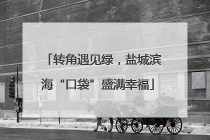 转角遇见绿，盐城滨海“口袋”盛满幸福