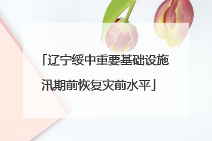 辽宁绥中重要基础设施汛期前恢复灾前水平
