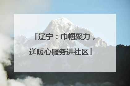 辽宁：巾帼聚力，送暖心服务进社区
