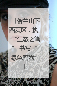 贺兰山下西夏区：执“生态之笔” 书写“绿色答卷”