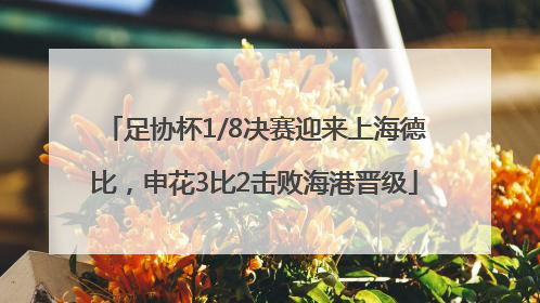 足协杯1/8决赛迎来上海德比，申花3比2击败海港晋级