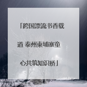 跨国漂流书香载道 泰州柬埔寨童心共筑知识桥