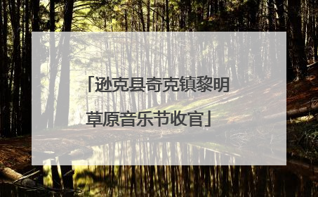 逊克县奇克镇黎明草原音乐节收官