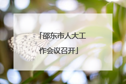 邵东市人大工作会议召开