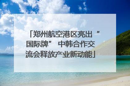 郑州航空港区亮出“国际牌” 中韩合作交流会释放产业新动能