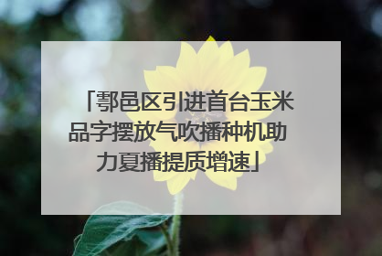 鄠邑区引进首台玉米品字摆放气吹播种机助力夏播提质增速