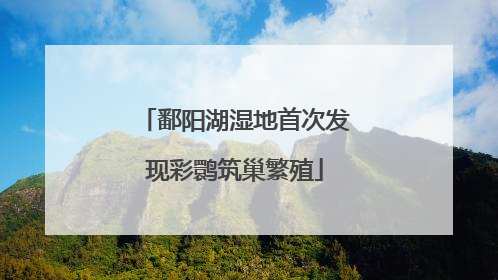 鄱阳湖湿地首次发现彩鹮筑巢繁殖