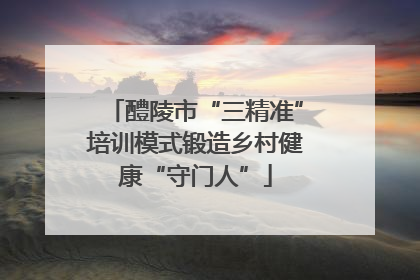 醴陵市“三精准”培训模式锻造乡村健康“守门人”