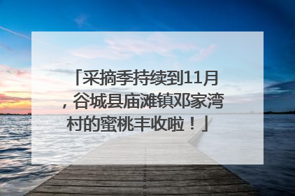 采摘季持续到11月，谷城县庙滩镇邓家湾村的蜜桃丰收啦！