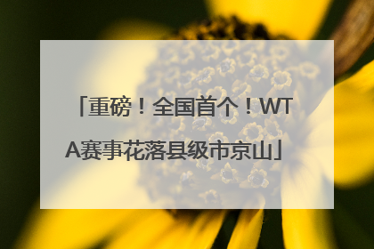 重磅！全国首个！WTA赛事花落县级市京山
