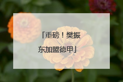 重磅！樊振东加盟德甲