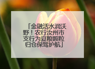 金融活水润沃野！农行汝州市支行为夏粮颗粒归仓保驾护航