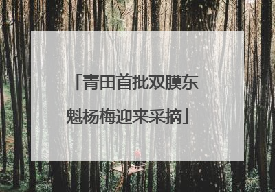 青田首批双膜东魁杨梅迎来采摘