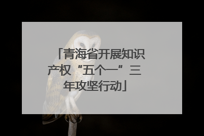 青海省开展知识产权“五个一”三年攻坚行动