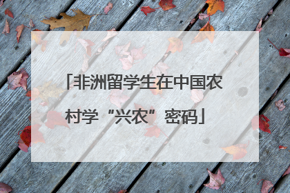 非洲留学生在中国农村学“兴农”密码