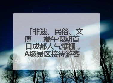 非遗、民俗、文博……端午假期首日成都人气爆棚，A级景区接待游客超113万人次