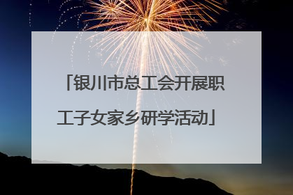 银川市总工会开展职工子女家乡研学活动