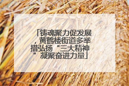 铸魂聚力促发展，黄鹤楼街道多举措弘扬“三大精神”凝聚奋进力量