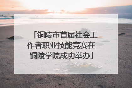 铜陵市首届社会工作者职业技能竞赛在铜陵学院成功举办
