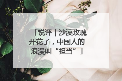 锐评｜沙漠玫瑰开花了，中国人的浪漫叫“担当”