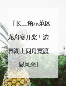长三角示范区龙舟赛开桨！边界湖上同舟竞渡展风采