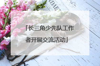 长三角少先队工作者开展交流活动