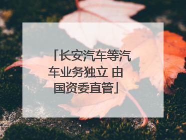 长安汽车等汽车业务独立 由国资委直管
