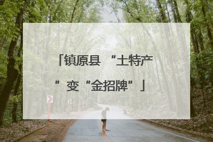 镇原县 “土特产”变“金招牌”