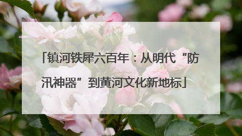 镇河铁犀六百年：从明代“防汛神器”到黄河文化新地标