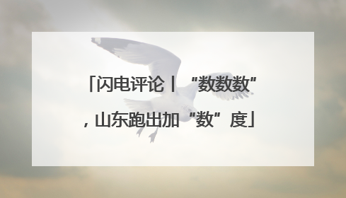闪电评论丨“数数数”，山东跑出加“数”度