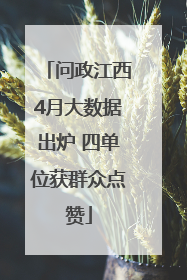 问政江西4月大数据出炉 四单位获群众点赞