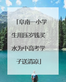 阜南一小学生用压岁钱买水为中高考学子送清凉