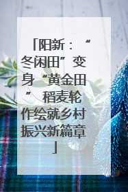 阳新：“冬闲田”变身“黄金田” 稻麦轮作绘就乡村振兴新篇章
