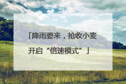 降雨要来，抢收小麦开启“倍速模式”