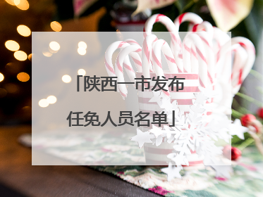 陕西一市发布任免人员名单