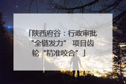 陕西府谷：行政审批“全链发力” 项目齿轮“精准咬合”