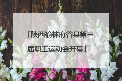 陕西榆林府谷县第三届职工运动会开幕