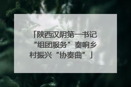 陕西汉阴第一书记“组团服务”奏响乡村振兴“协奏曲”