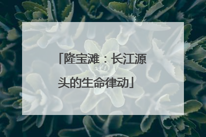 隆宝滩：长江源头的生命律动