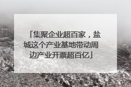 集聚企业超百家，盐城这个产业基地带动周边产业开票超百亿