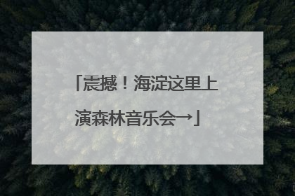 震撼！海淀这里上演森林音乐会→