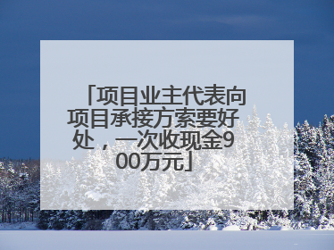 项目业主代表向项目承接方索要好处，一次收现金900万元