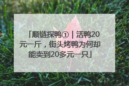 顺链探鸭①｜活鸭20元一斤，街头烤鸭为何却能卖到20多元一只