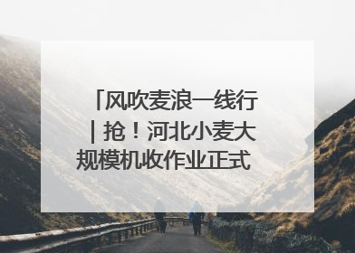 风吹麦浪一线行｜抢！河北小麦大规模机收作业正式拉开帷幕